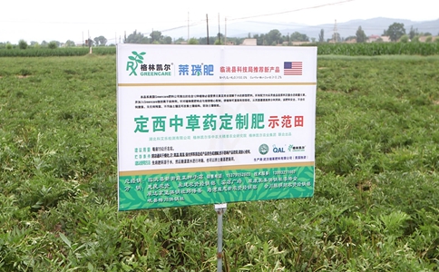 作物缺鉬癥狀？